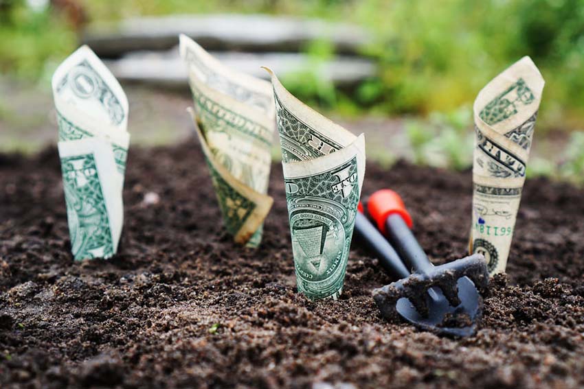 Grow Money Grow Money