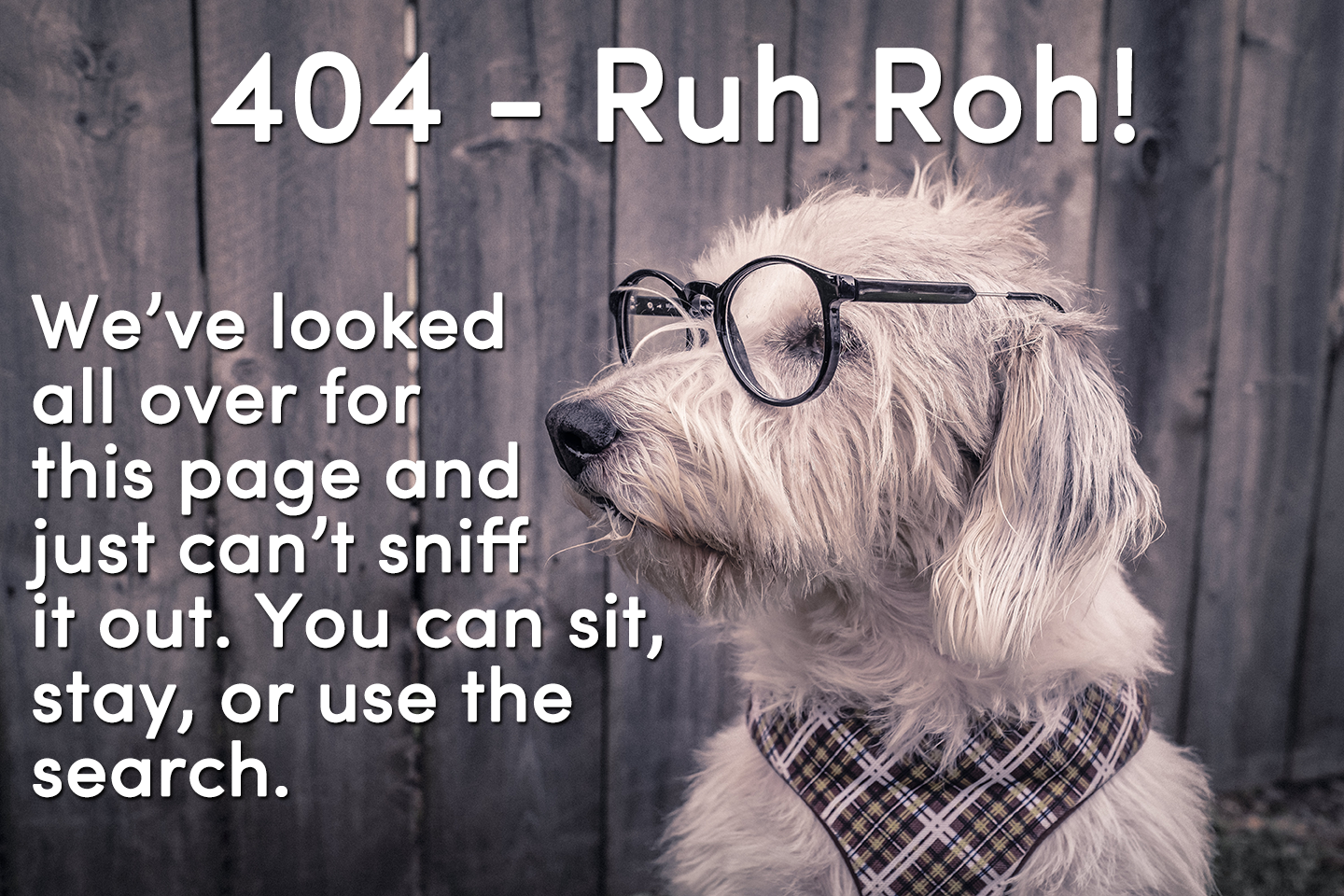 404 - Ruh Roh - Hemos mirado por todas partes para esta página