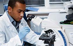 Male In Lab Male In Lab
