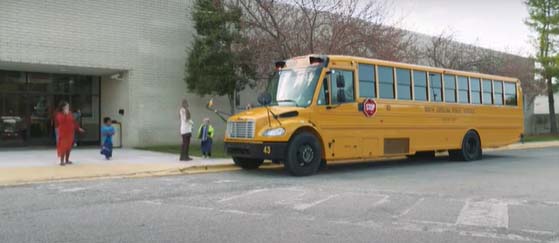 School Bus School Bus